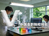 中国高职院校排名