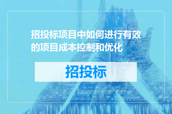 招投标项目中如何进行有效的项目成本控制和优化