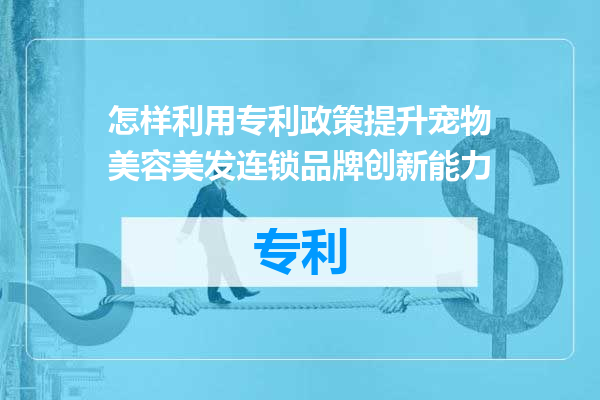 怎样利用专利政策提升宠物美容美发连锁品牌创新能力