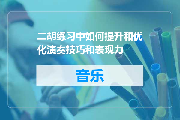 二胡练习中如何提升和优化演奏技巧和表现力