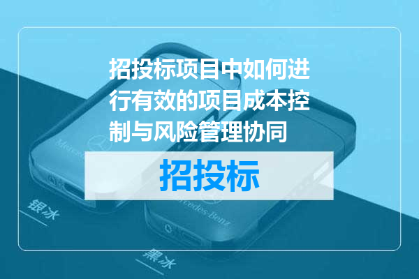 招投标项目中如何进行有效的项目成本控制与风险管理协同