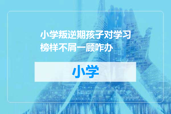 小学叛逆期孩子对学习榜样不屑一顾咋办