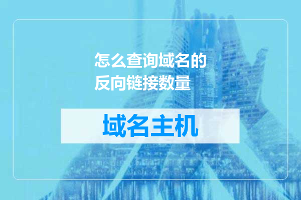 怎么查询域名的反向链接数量