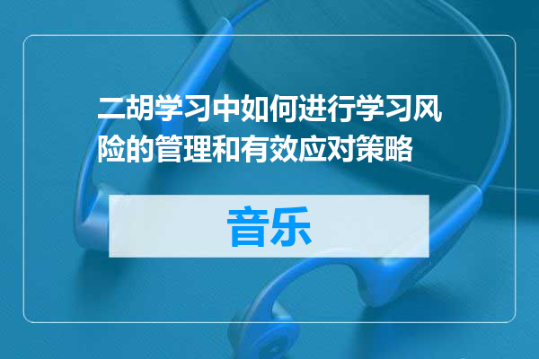 二胡学习中如何进行学习风险的管理和有效应对策略