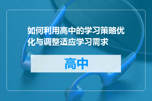 如何利用高中的学习策略优化与调整适应学习需求