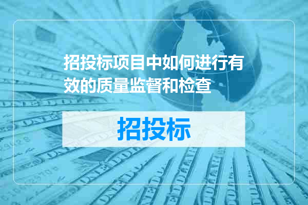 招投标项目中如何进行有效的质量监督和检查