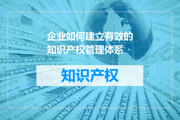 企业如何建立有效的知识产权管理体系