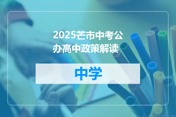 2025芒市中考公办高中政策解读