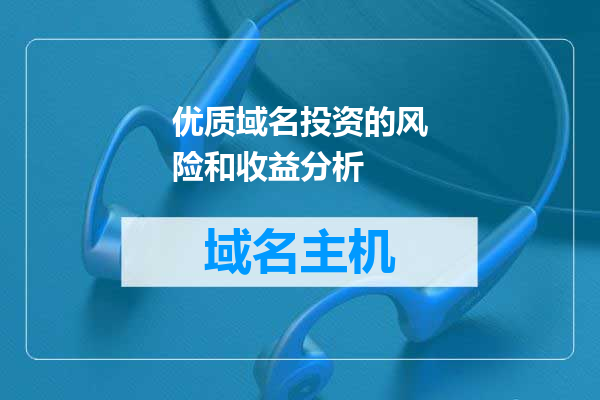 优质域名投资的风险和收益分析