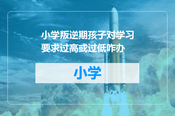 小学叛逆期孩子对学习要求过高或过低咋办