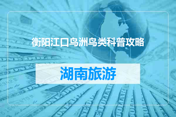 衡阳江口鸟洲鸟类科普攻略