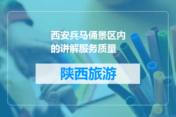 西安兵马俑景区内的讲解服务质量