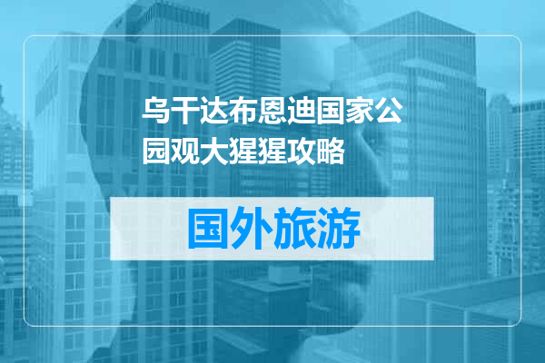 乌干达布恩迪国家公园观大猩猩攻略