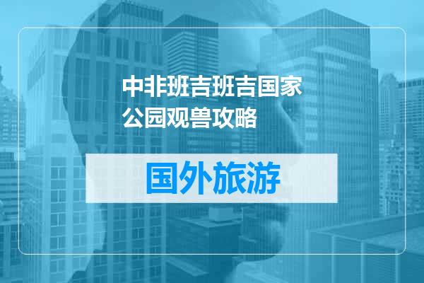 中非班吉班吉国家公园观兽攻略