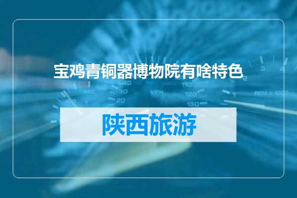 宝鸡青铜器博物院有啥特色