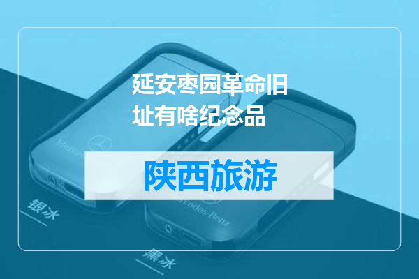 延安枣园革命旧址有啥纪念品