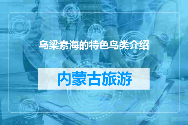 乌梁素海的特色鸟类介绍