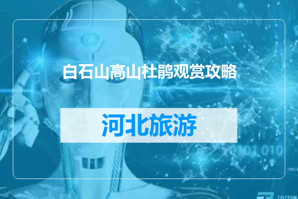 白石山高山杜鹃观赏攻略