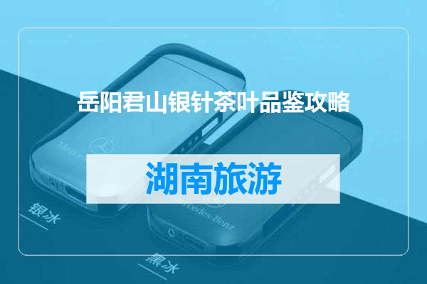 岳阳君山银针茶叶品鉴攻略