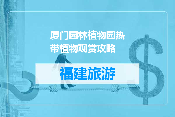 厦门园林植物园热带植物观赏攻略