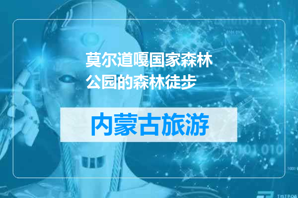 莫尔道嘎国家森林公园的森林徒步