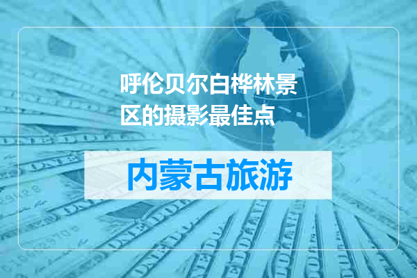呼伦贝尔白桦林景区的摄影最佳点