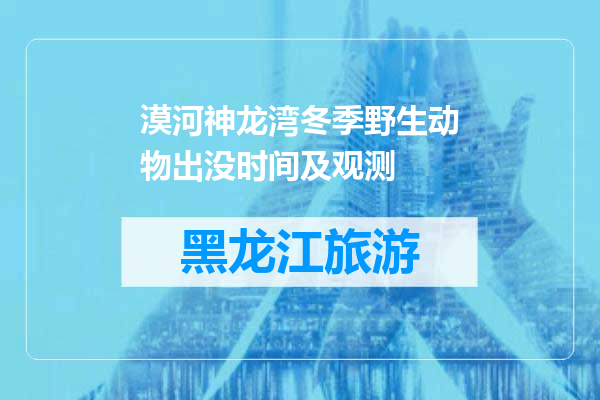 漠河神龙湾冬季野生动物出没时间及观测