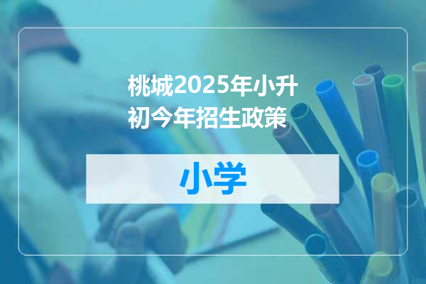桃城2025年小升初今年招生政策