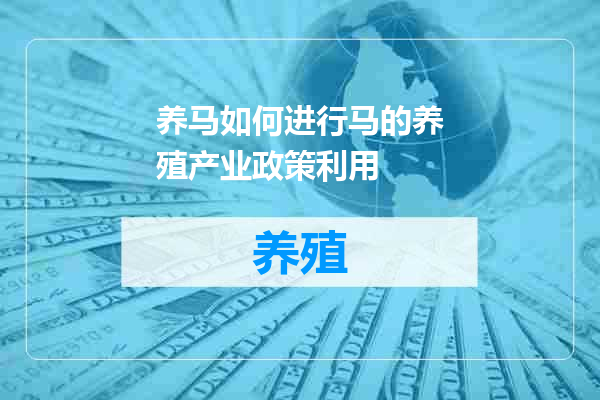 养马如何进行马的养殖产业政策利用