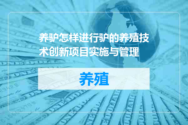 养驴怎样进行驴的养殖技术创新项目实施与管理