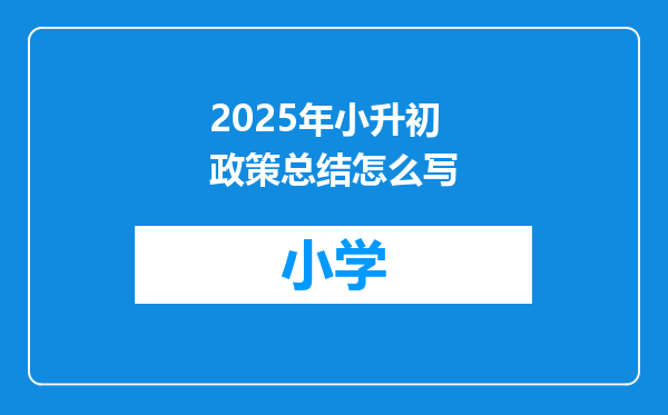 2025年小升初政策总结怎么写