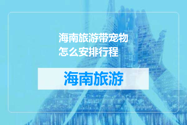 海南旅游带宠物怎么安排行程