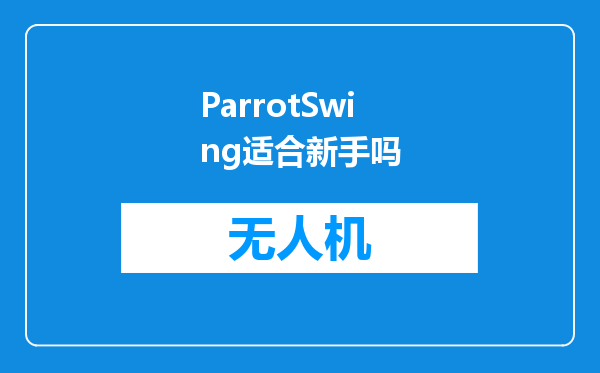 ParrotSwing适合新手吗