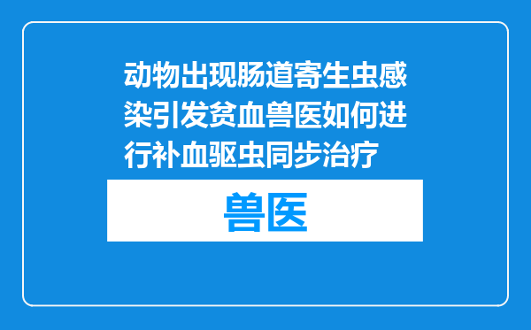 动物出现肠道寄生虫感染引发贫血兽医如何进行补血驱虫同步治疗