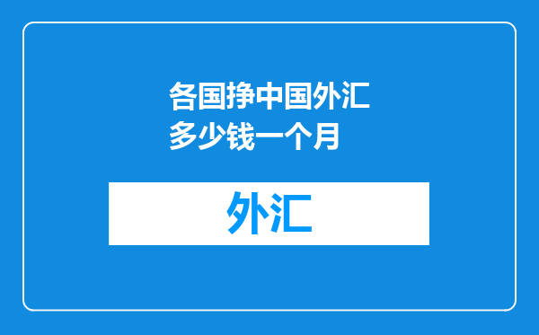 各国挣中国外汇多少钱一个月