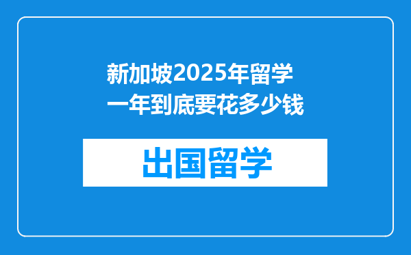 新加坡2025年留学一年到底要花多少钱