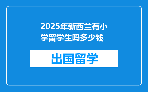 2025年新西兰有小学留学生吗多少钱