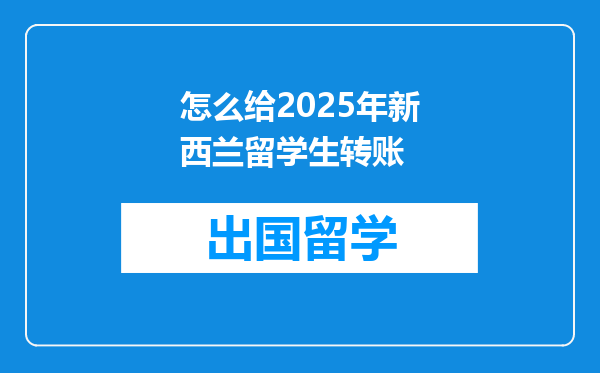 怎么给2025年新西兰留学生转账