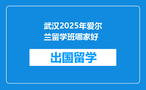 武汉2025年爱尔兰留学班哪家好