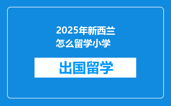 2025年新西兰怎么留学小学