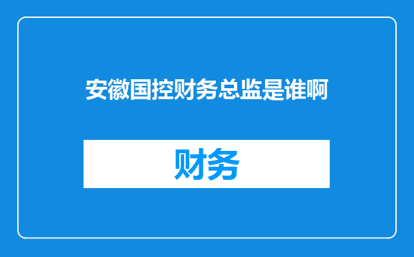 安徽国控财务总监是谁啊