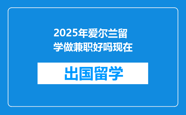 2025年爱尔兰留学做兼职好吗现在