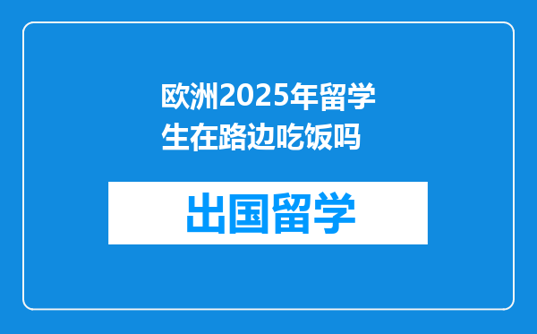 欧洲2025年留学生在路边吃饭吗