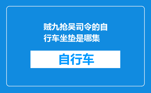 贼九抢吴司令的自行车坐垫是哪集