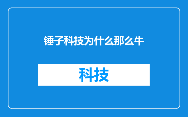锤子科技为什么那么牛