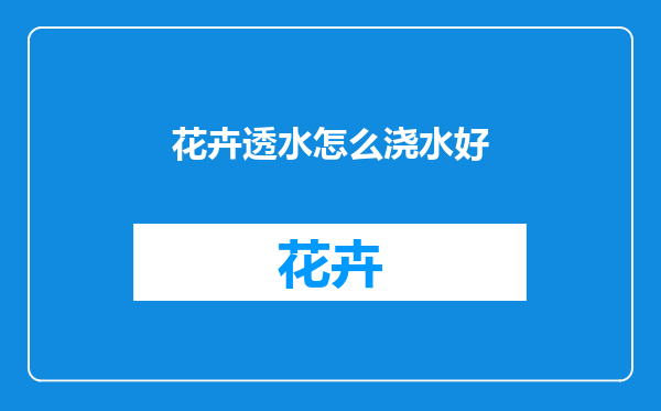 花卉透水怎么浇水好