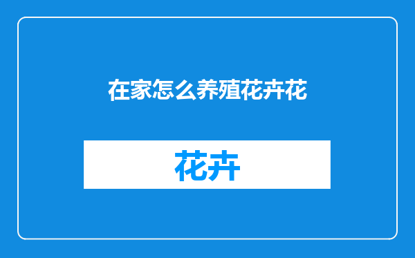 在家怎么养殖花卉花