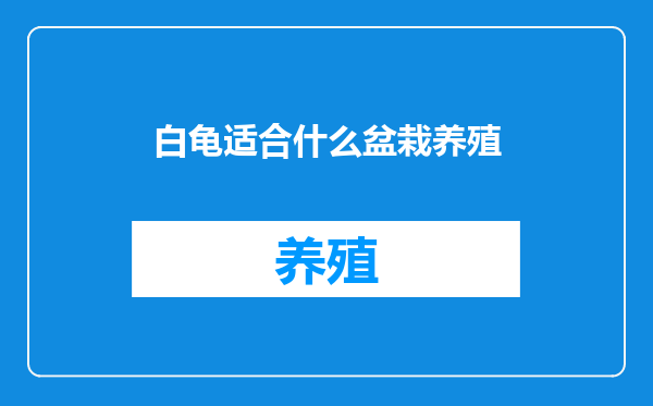 白龟适合什么盆栽养殖