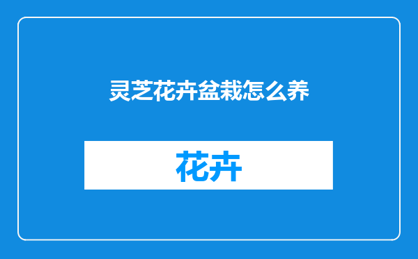 灵芝花卉盆栽怎么养