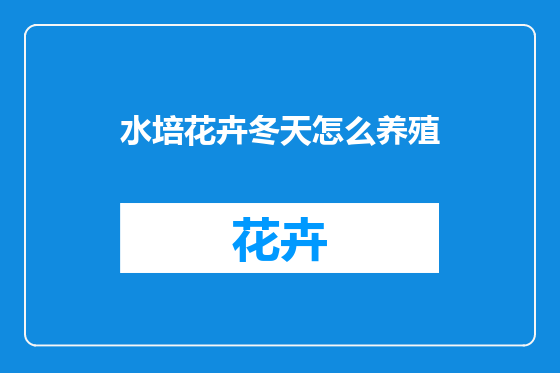 水培花卉冬天怎么养殖
